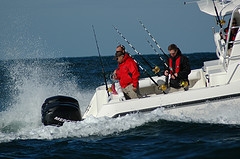 boston whaler fishing boats